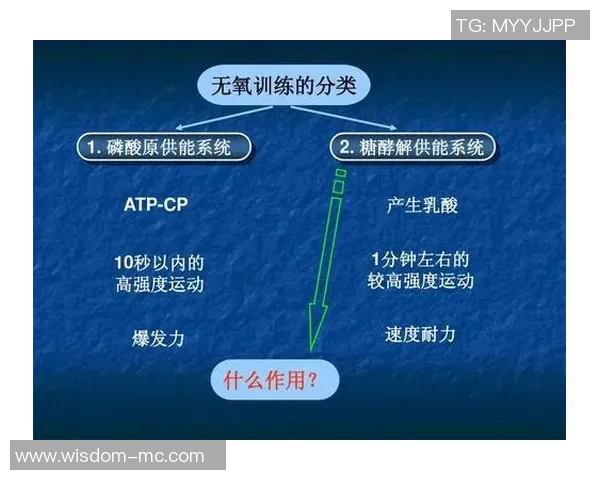 羽毛球战术：南京羽毛球队的反击体系