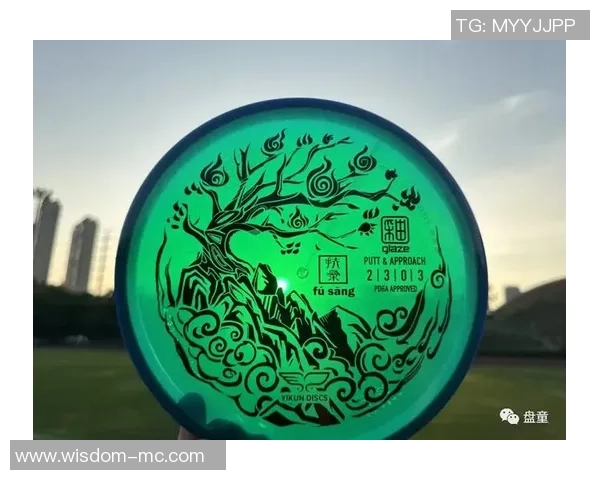 飞盘新手攻略：灵活性入门指南